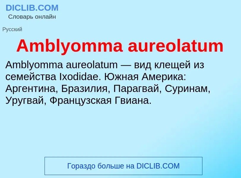 Τι είναι Amblyomma aureolatum - ορισμός