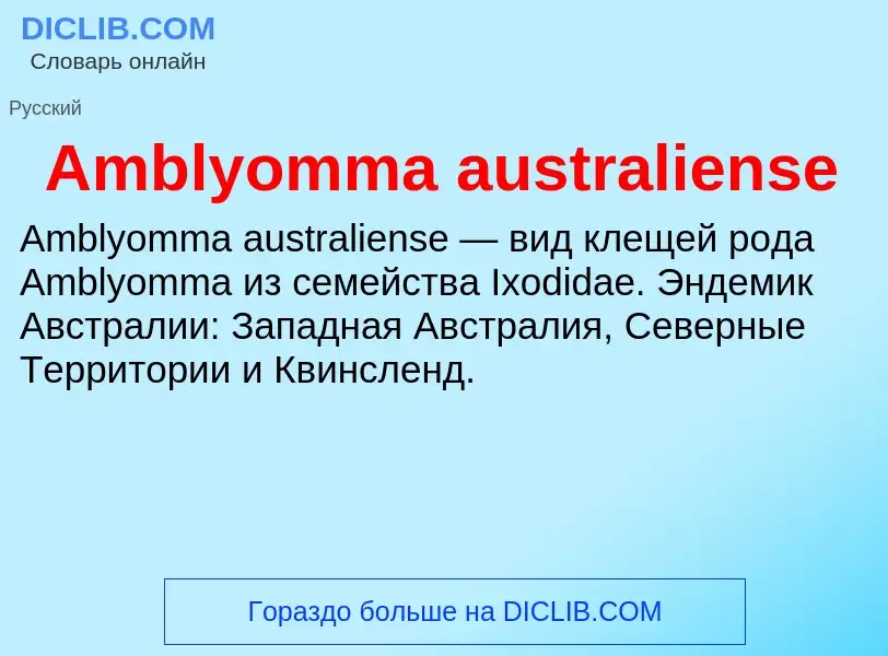 Τι είναι Amblyomma australiense - ορισμός