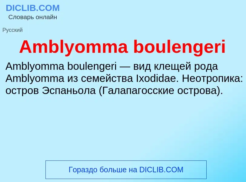 Τι είναι Amblyomma boulengeri - ορισμός