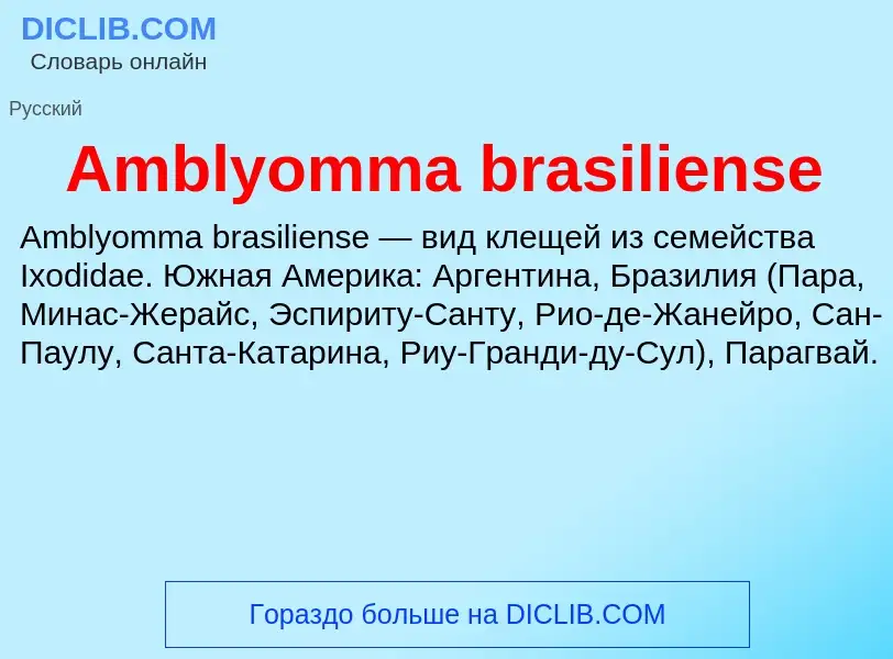 Τι είναι Amblyomma brasiliense - ορισμός