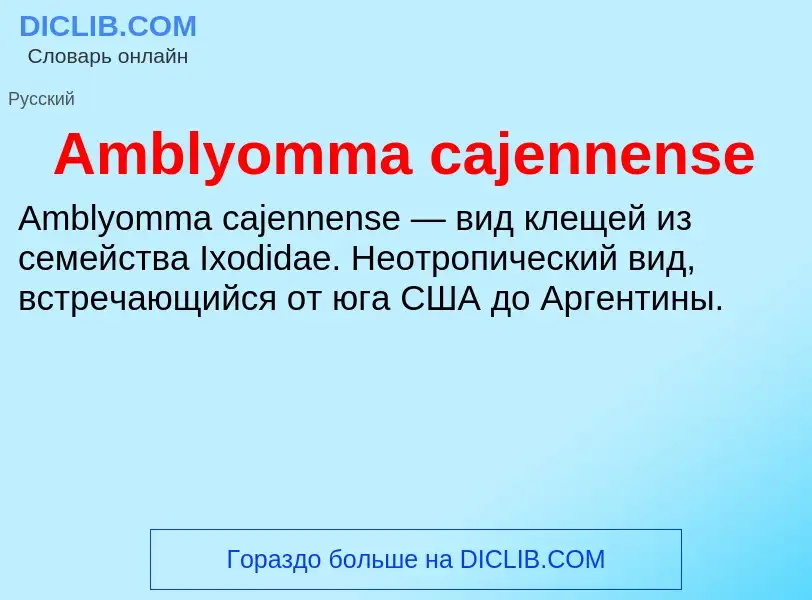 Τι είναι Amblyomma cajennense - ορισμός