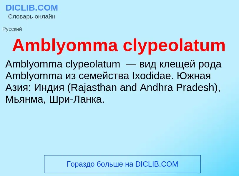 Τι είναι Amblyomma clypeolatum - ορισμός