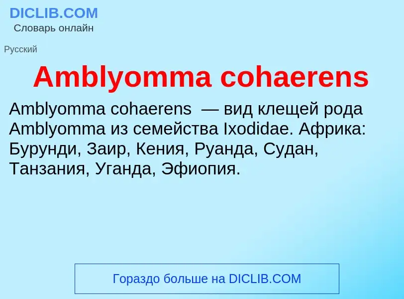 Τι είναι Amblyomma cohaerens - ορισμός