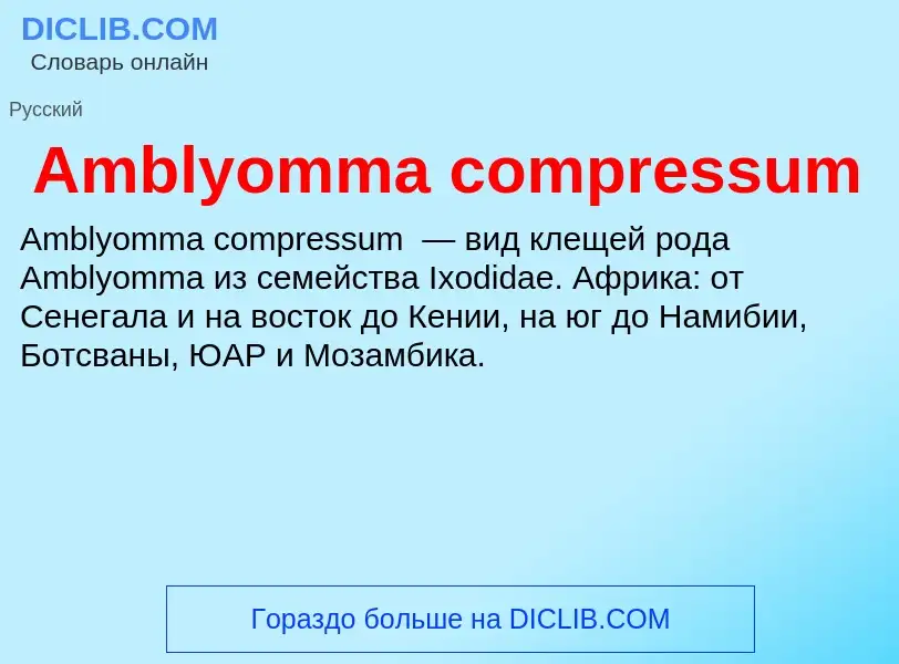 Τι είναι Amblyomma compressum - ορισμός