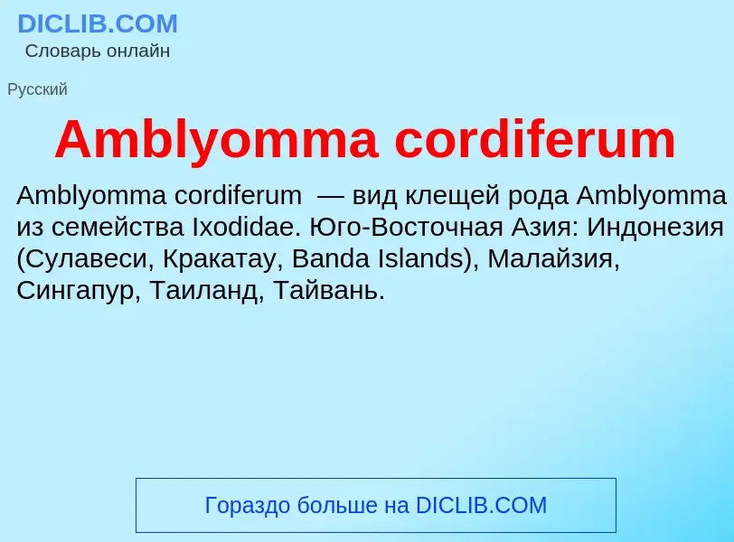 Τι είναι Amblyomma cordiferum - ορισμός