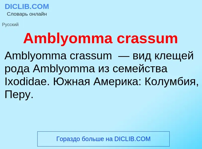 Τι είναι Amblyomma crassum - ορισμός