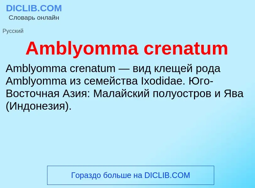 Τι είναι Amblyomma crenatum - ορισμός