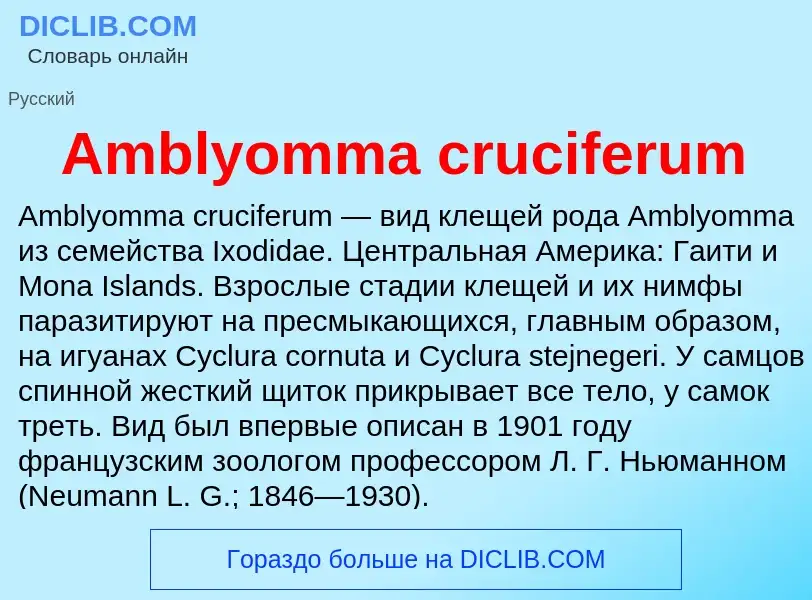 Τι είναι Amblyomma cruciferum - ορισμός