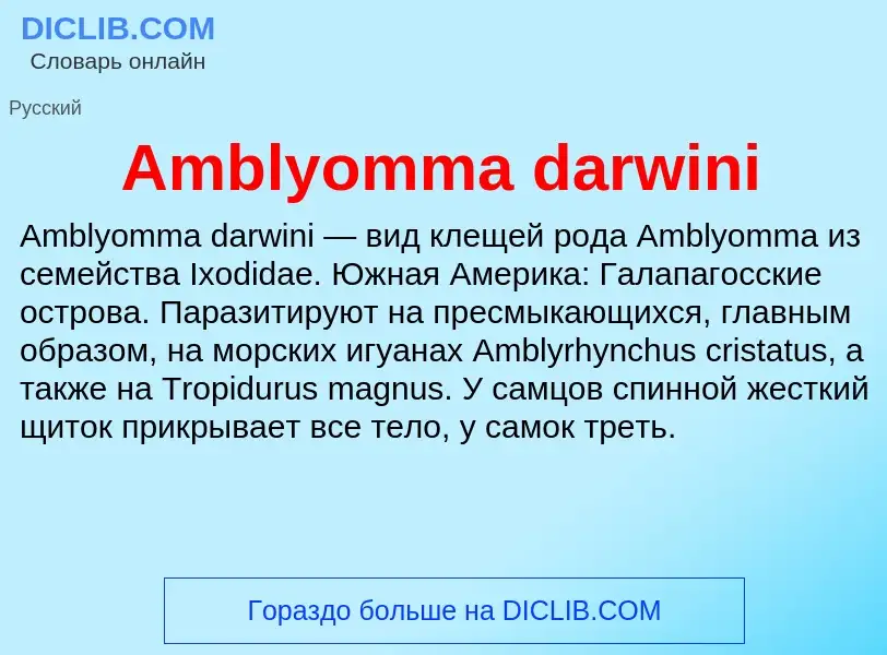 Τι είναι Amblyomma darwini - ορισμός