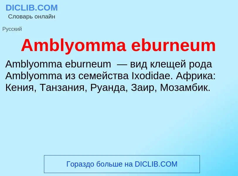 Τι είναι Amblyomma eburneum - ορισμός