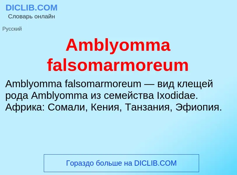 Τι είναι Amblyomma falsomarmoreum - ορισμός