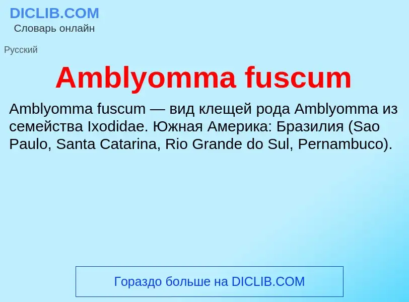 Τι είναι Amblyomma fuscum - ορισμός