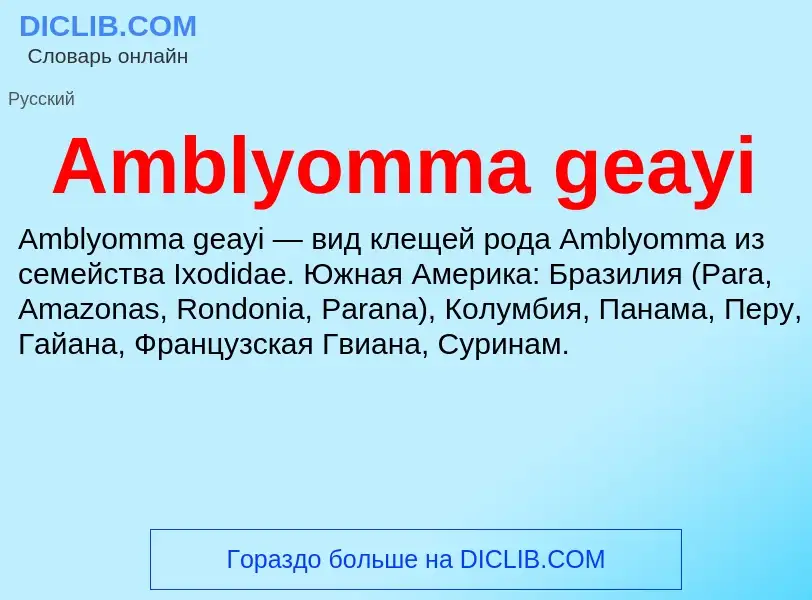 Τι είναι Amblyomma geayi - ορισμός