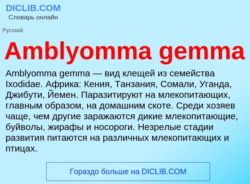 Τι είναι Amblyomma gemma - ορισμός