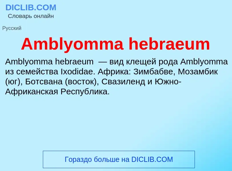 Τι είναι Amblyomma hebraeum - ορισμός