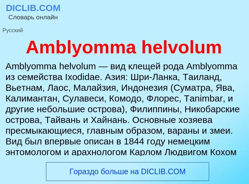 Τι είναι Amblyomma helvolum - ορισμός