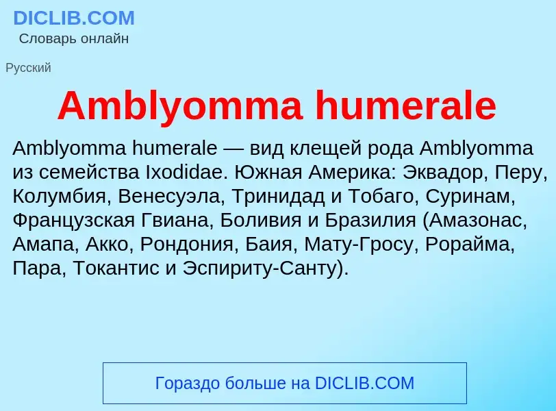 Τι είναι Amblyomma humerale - ορισμός