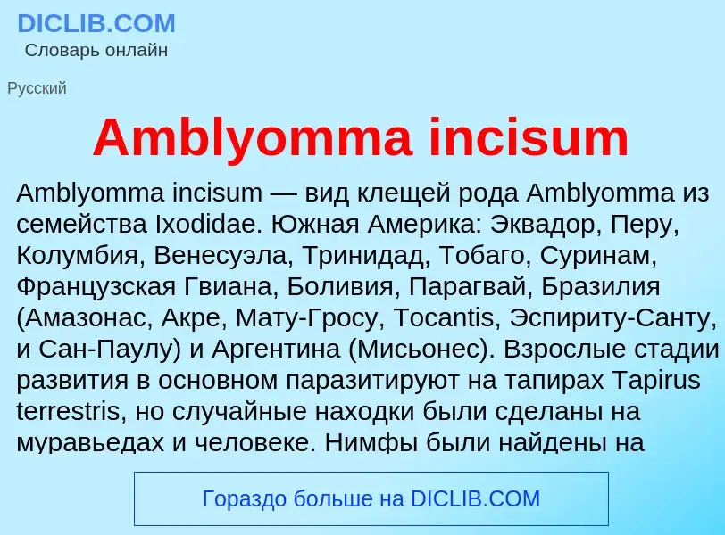 Τι είναι Amblyomma incisum - ορισμός