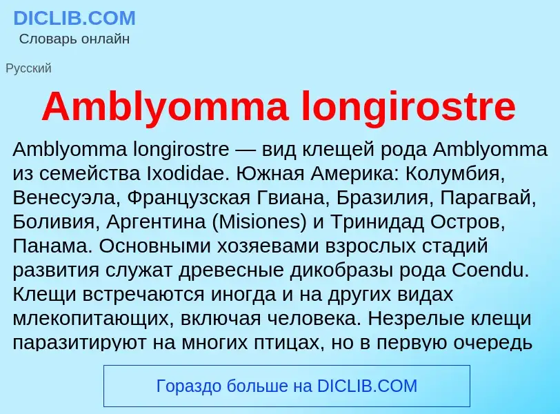 Τι είναι Amblyomma longirostre - ορισμός