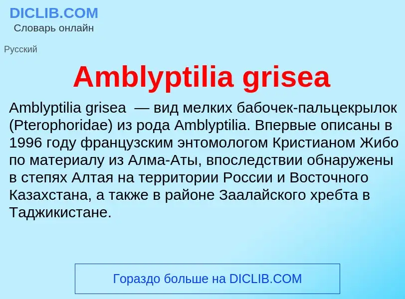 Τι είναι Amblyptilia grisea - ορισμός