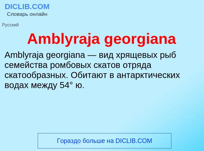 Τι είναι Amblyraja georgiana - ορισμός