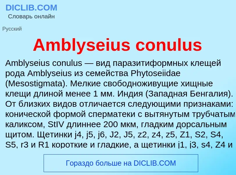 Τι είναι Amblyseius conulus - ορισμός