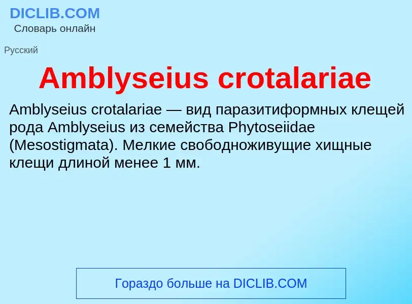 Τι είναι Amblyseius crotalariae - ορισμός