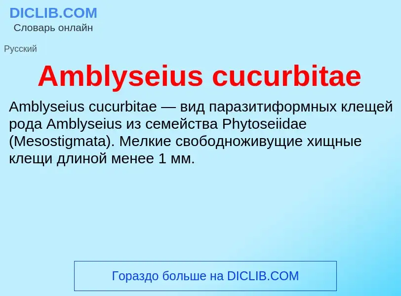 Τι είναι Amblyseius cucurbitae - ορισμός