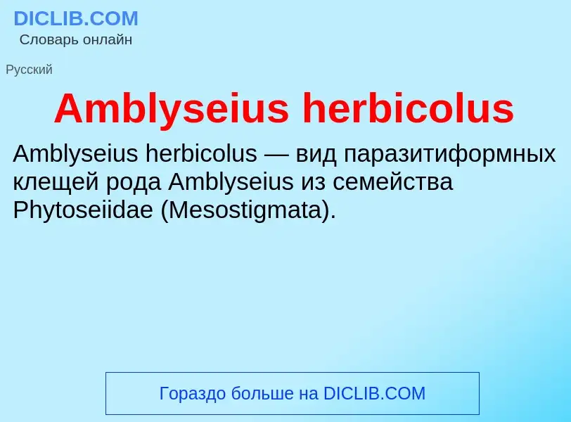 Τι είναι Amblyseius herbicolus - ορισμός