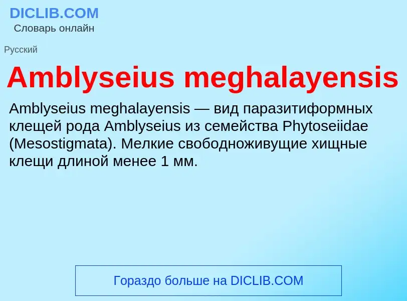 Τι είναι Amblyseius meghalayensis - ορισμός