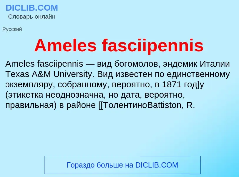 Τι είναι Ameles fasciipennis - ορισμός