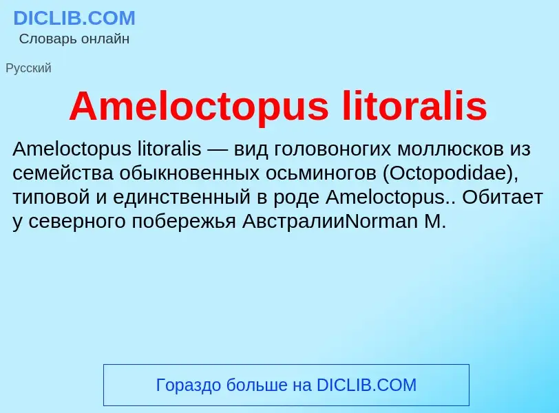 Τι είναι Ameloctopus litoralis - ορισμός