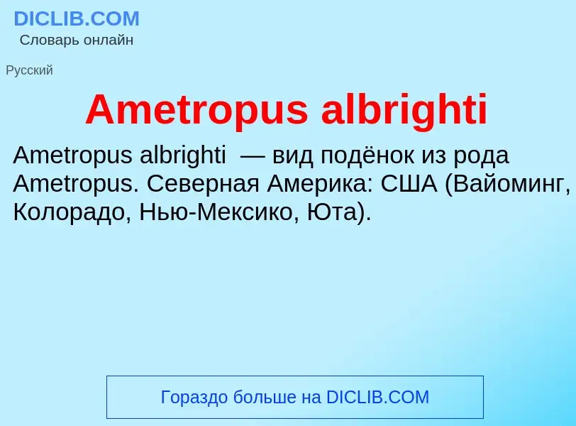 Τι είναι Ametropus albrighti - ορισμός