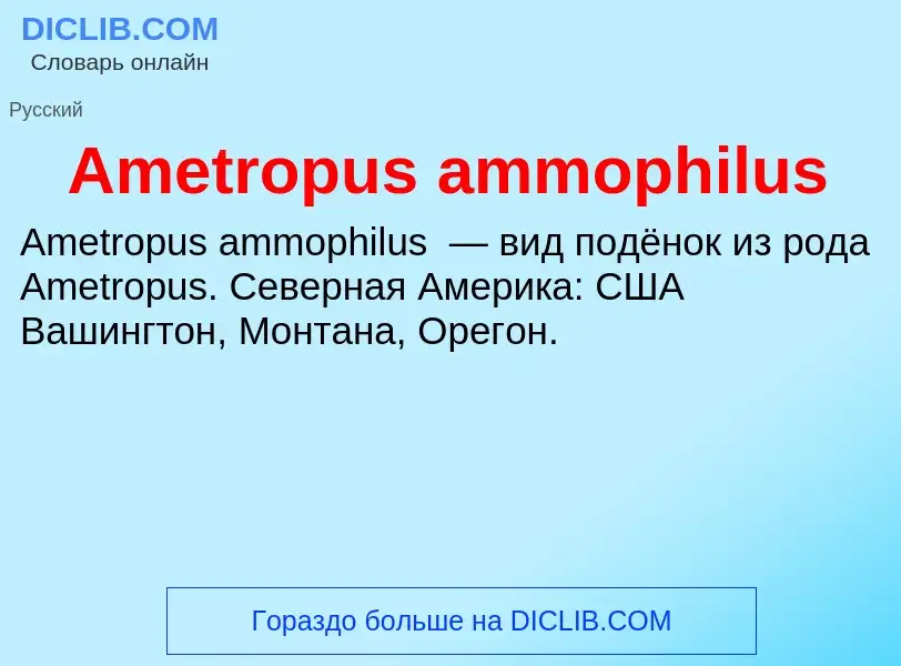 Τι είναι Ametropus ammophilus - ορισμός