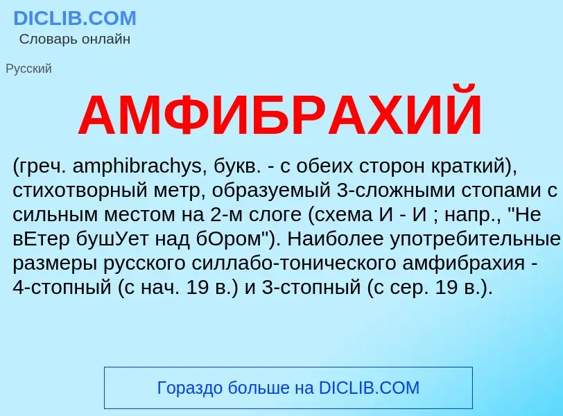 What is АМФИБРАХИЙ - definition