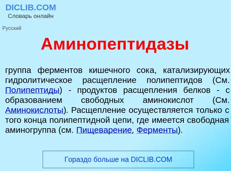 Qu'est-ce que Аминопептид<font color="red">а</font>зы - définition