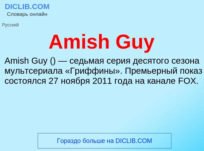 Τι είναι Amish Guy - ορισμός