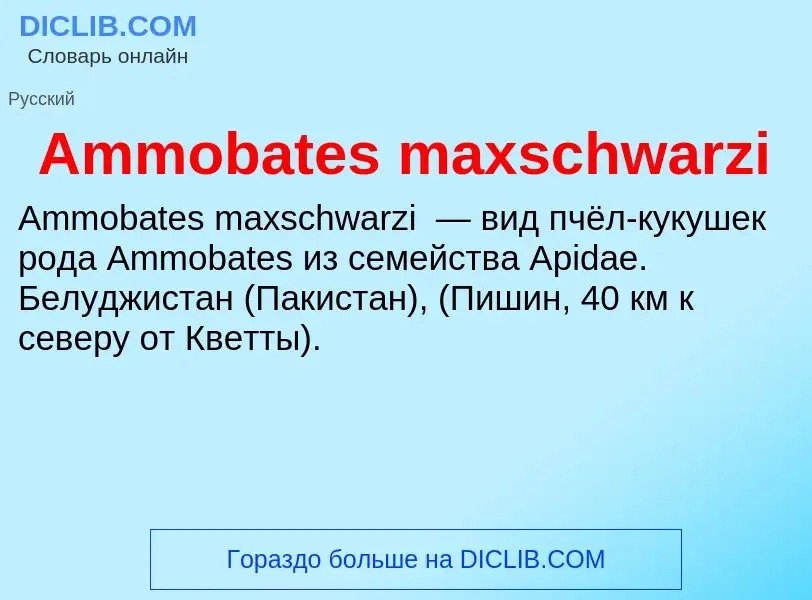 Τι είναι Ammobates maxschwarzi - ορισμός