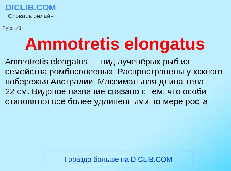 Τι είναι Ammotretis elongatus - ορισμός