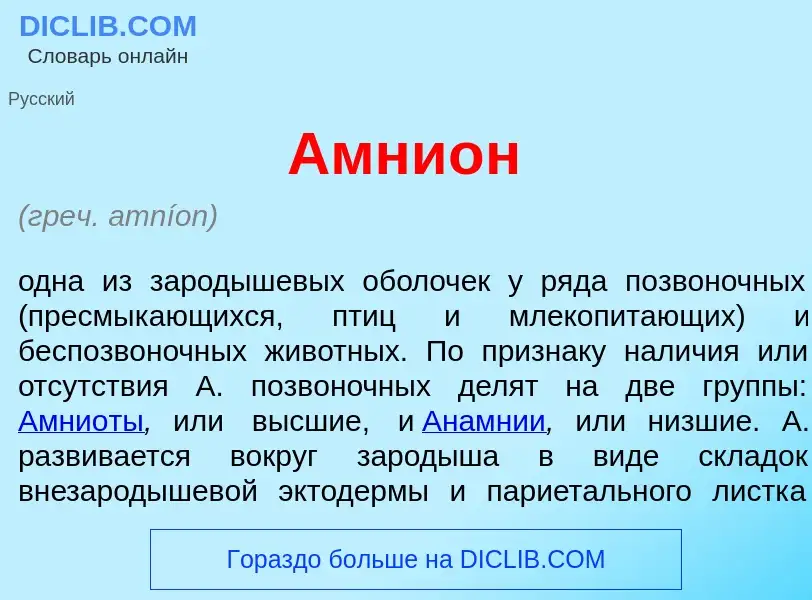 What is Амни<font color="red">о</font>н - meaning and definition