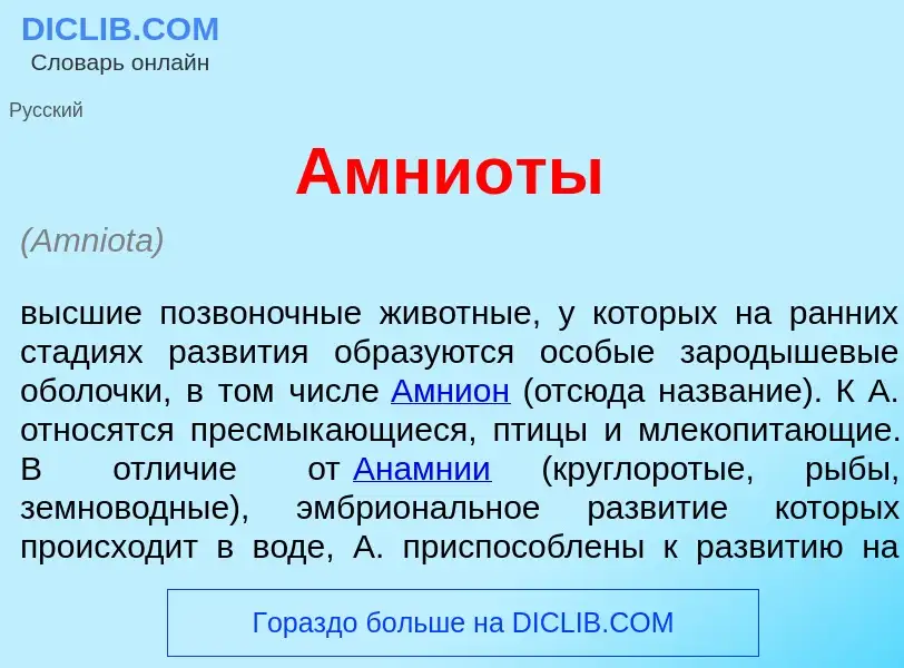 Что такое Амни<font color="red">о</font>ты - определение