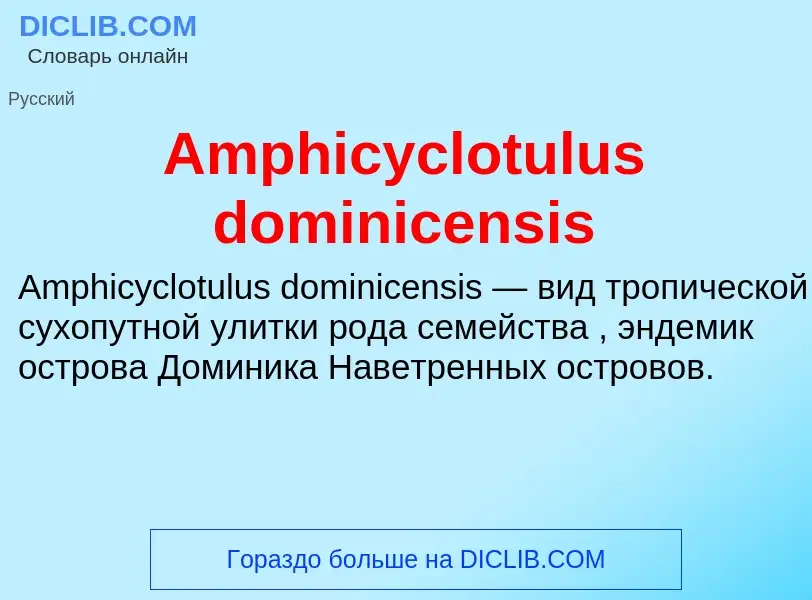 Τι είναι Amphicyclotulus dominicensis - ορισμός