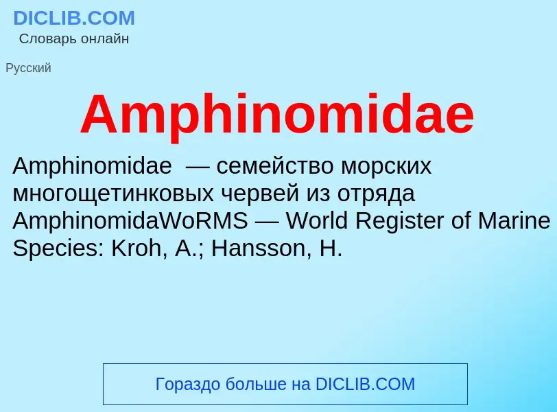 Τι είναι Amphinomidae - ορισμός