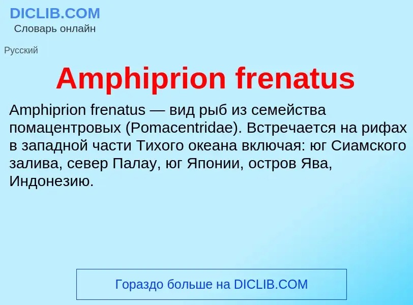 Τι είναι Amphiprion frenatus - ορισμός