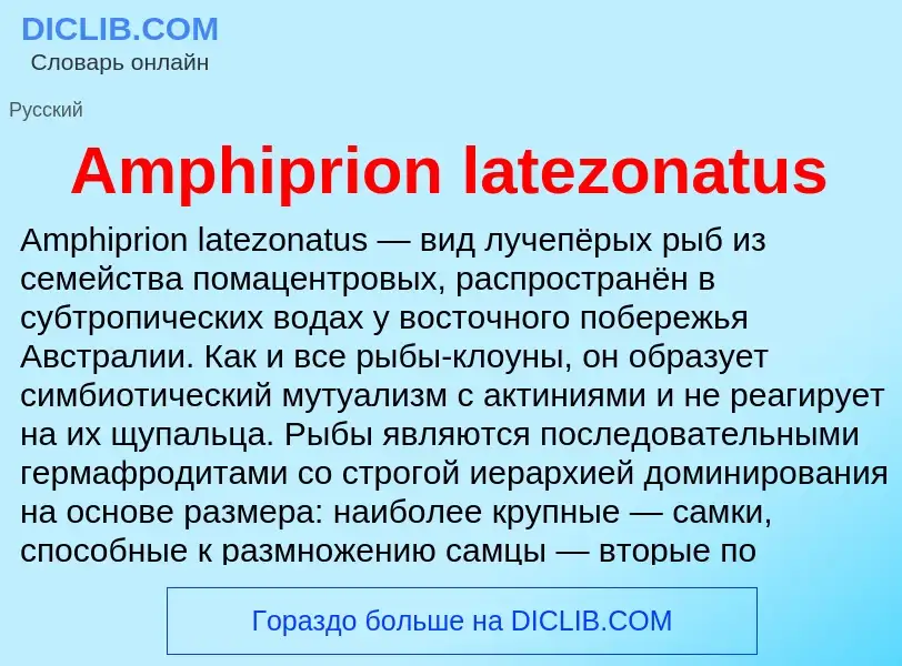 Τι είναι Amphiprion latezonatus - ορισμός