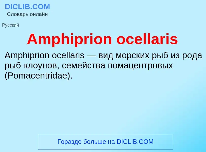 Τι είναι Amphiprion ocellaris - ορισμός