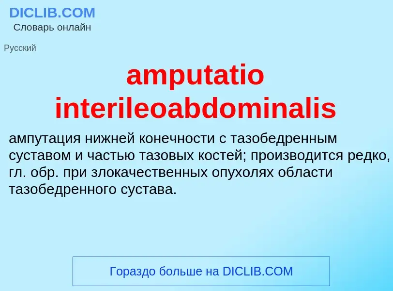 Was ist amputatio interileoabdominalis - Definition