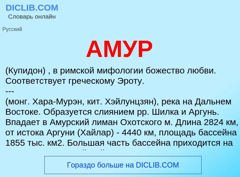 Что такое АМУР - определение