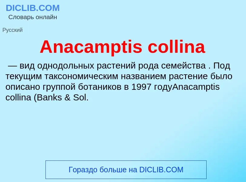 Τι είναι Anacamptis collina - ορισμός