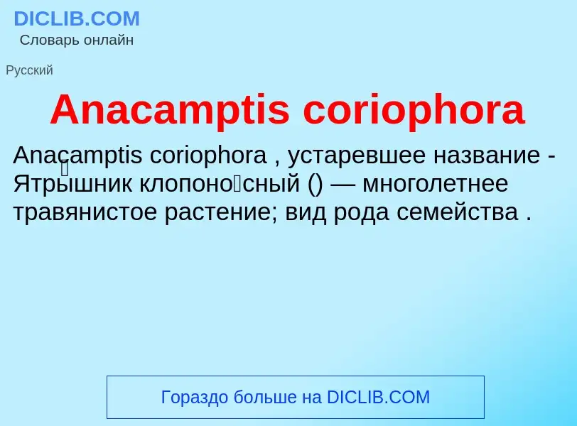 Τι είναι Anacamptis coriophora - ορισμός